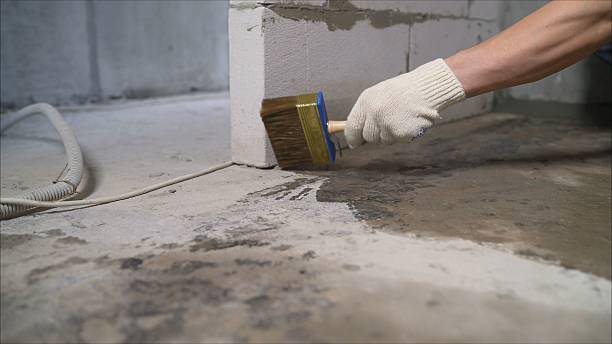 SJ Waterproofing Pros Waterproofing coverage map for Flint, MI and surrounding area